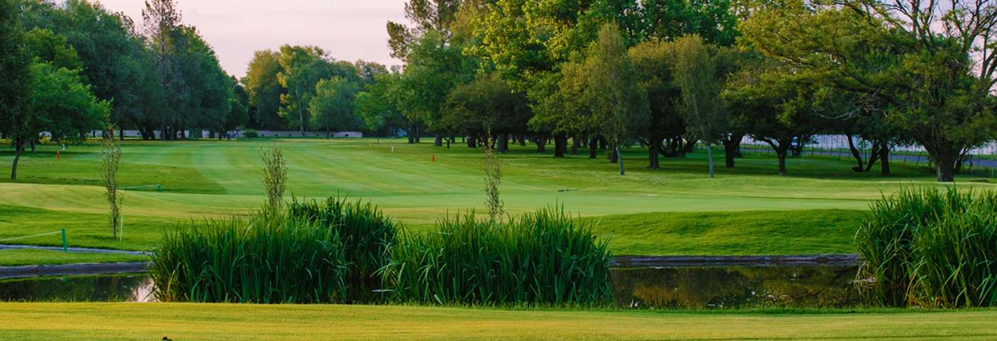 Trees lining the parkland course at The Lake Club Benoni